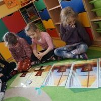WIOSNA TUŻ TUŻ (5)