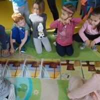 WIOSNA TUŻ TUŻ (6)