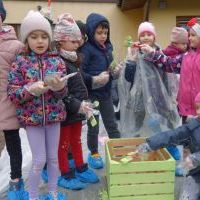 MALOWANIE DŻDŻOWNICY (12)