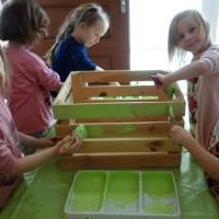 MALOWANIE DŻDŻOWNICY (5)