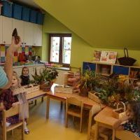KASZTANKOTWORZENIE (7)