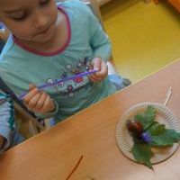 KASZTANKOTWORZENIE (7)