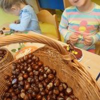 KASZTANKOTWORZENIE (2)