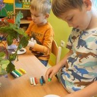 KASZTANKOTWORZENIE (12)