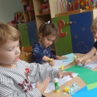 ROSNĄ GRZYBY PO DESZCZU (2)