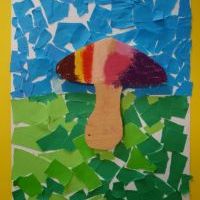 ROSNĄ GRZYBY PO DESZCZU (11)