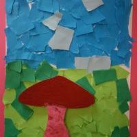 ROSNĄ GRZYBY PO DESZCZU (12)