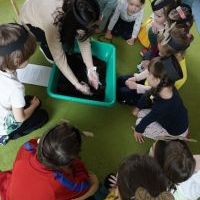 MIĘDZY NAMI DŻDŻOWNICAMI (11)