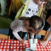 MIĘDZY NAMI DŻDŻOWNICAMI (5)