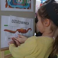 MIĘDZY NAMI DŻDŻOWNICAMI (10)