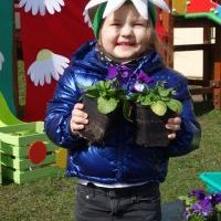 KWIATKI BRATKI (2)