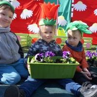 KWIATKI BRATKI (4)