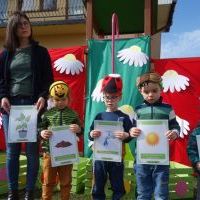 KWIATKI BRATKI (5)
