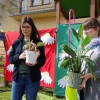 KWIATKI BRATKI (7)