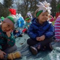 KWIATKI BRATKI (8)