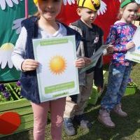KWIATKI BRATKI (3)