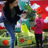 KWIATKI BRATKI (4)