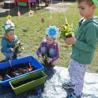 KWIATKI BRATKI (11)