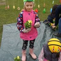 KWIATKI BRATKI (13)