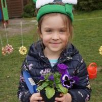 KWIATKI BRATKI (15)