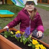 KWIATKI BRATKI (5)