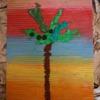 NASZE PALMY KOKOSOWE (2)