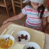 ZMYSŁOWE DOŚWIADCZANIE (11)