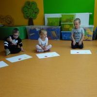 KOLOROWE ŁAPKI (8)