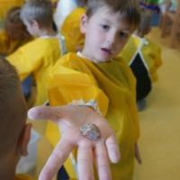 KAMYKOWE KAKTUSY (1)