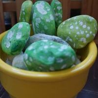 KAKTUSY KAMYKOWE (9)