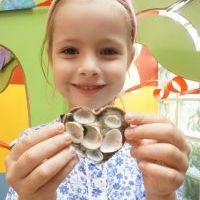 PIASKOWE SERDUSZKA MUSZELKOWE (5)