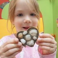 PIASKOWE SERDUSZKA MUSZELKOWE (7)