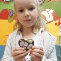 PIASKOWE SERDUSZKA MUSZELKOWE (13)