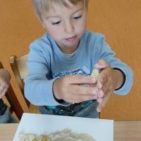 MUSZELKOWE RYBKI (2)