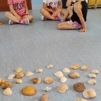 O CZYM SZUMI MUSZELKA (8)
