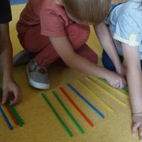 TĘCZOWE KAMELEONY (4)