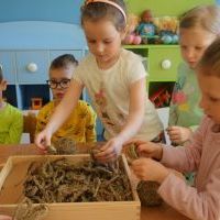 SIANKOWE WARSZTATY ZAJĄCZKOWE (11)