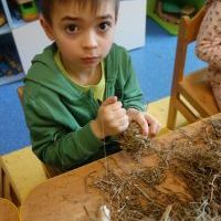 SIANKOWE WARSZTATY ZAJĄCZKOWE (5)