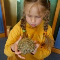 SIANKOWE WARSZTATY ZAJĄCZKOWE (6)
