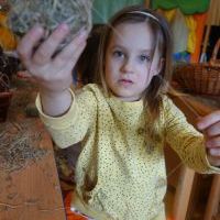 SIANKOWE WARSZTATY ZAJĄCZKOWE (8)