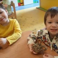 SIANKOWE WARSZTATY ZAJĄCZKOWE (11)