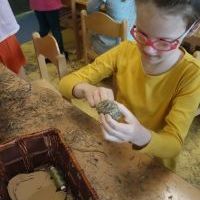 SIANKOWE WARSZTATY ZAJĄCZKOWE (7)