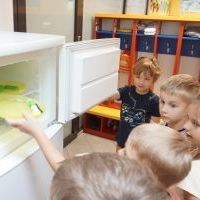 LODÓWKOWE OBSERWACJE (6)