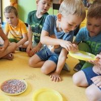 LODÓWKOWE OBSERWACJE (8)