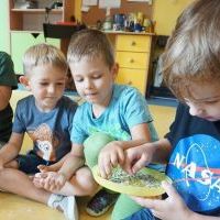 LODÓWKOWE OBSERWACJE (13)