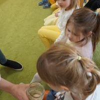 SEKRETY KURZEGO JAJA (9)