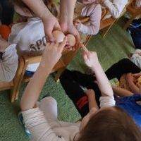 SEKRETY KURZEGO JAJA (11)