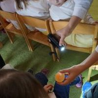 SEKRETY KURZEGO JAJA (13)