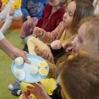 SEKRETY KURZEGO JAJA (3)