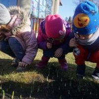 WIOSNY PODPATRYWANIE (1)